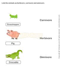 Food Chain Worksheet 6 Science Worksheets Grade 2 Worksheets Science Worksheets Food Chain Worksheet Worksheets For Kids