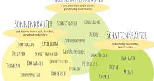 Standort Krauter Garten Garten Pflanzen Topfpflanzen Terrasse