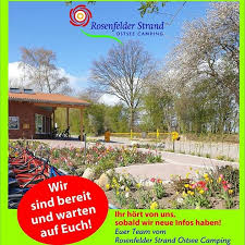 Platzplan Rosenfelder Strand Ostsee Camping In 2020 Camping Strand Ostsee
