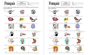 The left and right bronchi: French Body Parts Bundle Crossword Word Search Skit Image Ids 3 Diagrams