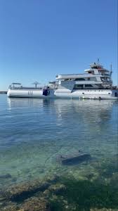 Good Morning everyone. , It's still summer here. Here's the proof. ❤️