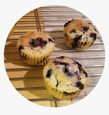 the sweetest blueberry muffins recipe png download muffin transparent png transparent png image pngitem pngitem