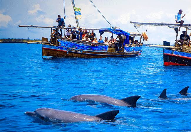 KISITE MPUNGUTI MARINE PARK and RESERVE - Nature Bound Africa