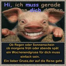 Diese lustigen tiere entlassen dich ins kühle wochenende. Wochenende 015 Gif 500 500 Wochenende Schones Wochenende Video Grusse Zum Wochenende