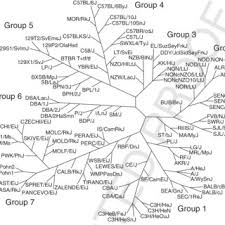 Check spelling or type a new query. Pdf Introduction To Laboratory Animal Genetics