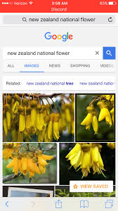 New zealand  edit  new zealand does not have an official national flower, but the silver fern (foliage) is acknowledged as its national emblem. Quix S National Flower Tampon Yes Or Not Album On Imgur