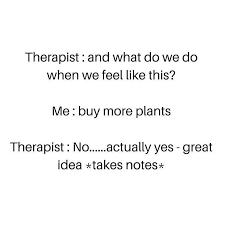 Succulentcity Com Community Of Succulent Cacti Plant Lovers Plant Lover Succulent Care Plants