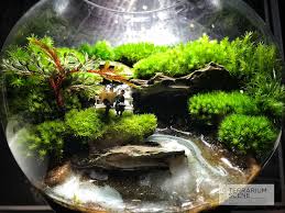 Pin By Terrariumscene On Terrarium Scene Terrarium Scene Terrarium Fairy Garden