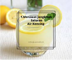 Salah satu khasiat jeruk lemon dan madu adalah meredakan dan mencegah radang tenggorokan. Khasiat Air Barli Untuk Rahsia Cantik Tanpa Botox Facebook