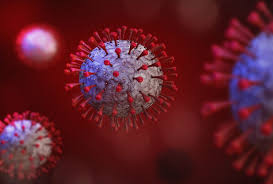 Interleukin 6 Inhibitors Improve Outcomes For Covid 19 Patients In Study Learn about side effects, dosage, special precautions, and more on medlineplus.