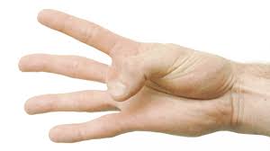 The little finger, often called the pinky in american english and pinkie in scottish english (from the dutch word pink, meaning little finger), is the most ulnar and usually smallest finger of the human hand, opposite the thumb, next to the ring finger. 7 Hand Exercises To Ease Arthritis Pain