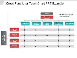 Cross Functional Team Chart Ppt Example Powerpoint Slide