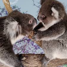 Less 'When Harry met Sally' and more when 'Daniel met Rosie'. As soon as  Daisy and Daniel were given the all clear for chlamydia it was time for  Rosie to meet them