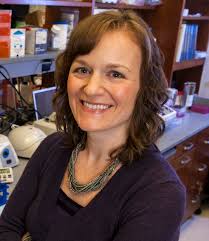 2019 Spring: The Role of Basic Science in 21st Century Medical Education  Archives