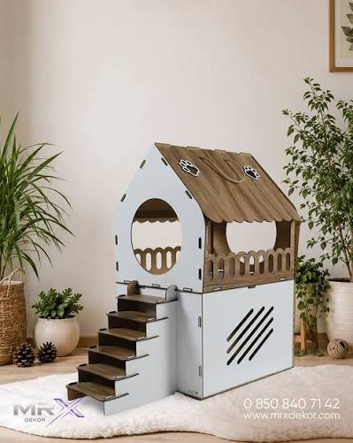 Kedi, Köpek Satışı Yasağına Rağmen Minik Patiler Yeni Evlerini Bulmaya Devam Ediyor