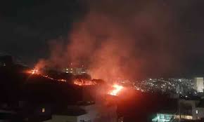 Gigaguenstig.de has been visited by 10k+ users in the past month Incendio Atinge Parque Renato Azeredo No Bairro Palmares Em Bh Gerais Estado De Minas