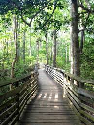 First Landing State Park Virginia Beach Va I Can Not Wait To Go Here Virginia Is For Lovers Virginia Travel Norfolk Virginia