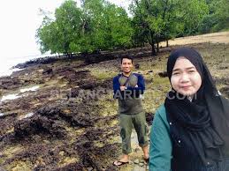 Cari umang umang dan lintah untuk dibuat umpan mancing | find a hermit crab for catfish bait. Bercuti Di Umang Umang Chalet Kuala Linggi Melaka Chalet Yang Murah Some Bullet For Your Head