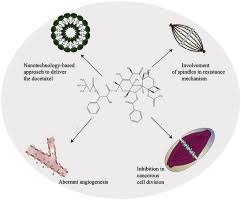 Image result for Docetaxel