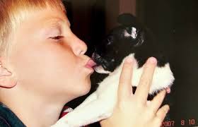 Laid my best friend, Macho, to rest yesterday. Over the 20 years of his  life, he gave me so many good memories and has inspired me in so many ways.  Whether it