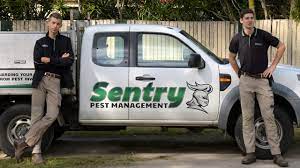 Raccoon davis extensioncritter control acme how to u california mug a bug pest and termite control about education csu extension. Reviews Archives Sentry Pest Management