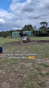 #equestrian #horsesoftiktok #foryou #horsegirl #horseriding #xyzbca  #horsetok #ssicxrio #foryoupage