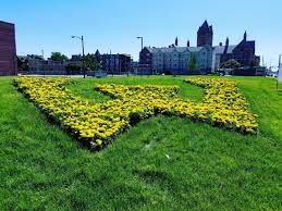 Photo Of The Day For July 22 2018 My Old Stomping Grounds Are Looking Pretty Good How To Look Pretty Photo Pretty Good