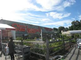 Best ice cream in ct. What Is Stew Leonard S Dairy Market In Norwalk Ct