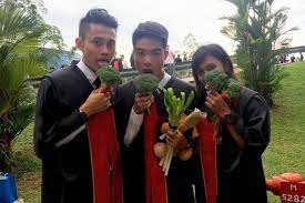 See more ideas about graduation party, graduation, guys graduation party. Ditch Flowers And Chocs Gift Veggies Latest World News The New Paper