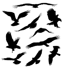 Bird Of Prey Tattoo Small Eagles Tattoo Design Bird Of Prey Tattoo Small Eagle Tattoo Eagle Tattoo