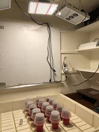 With 8 fx special effects mode to simulate various of shooting scenes. Tc2 S Indoor Grow Journal Spider Farmer Sf1000 Hlg 100 Sun System Hps 150w Thcfarmer Cannabis Cultivation Network