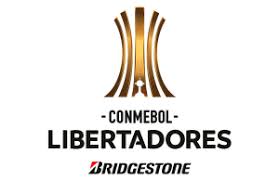 Brazilian club palmeiras defeated fellow brazilian club. Copa Libertadores 2019 Table