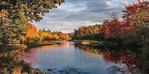 Waterfowl and Foliage Public Paddle