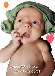 Obituary of Dominic Robert Peck