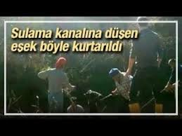 Sulama Kanalina Dusen Esek Boyle Kurtarildi Sulama Esek Kanal