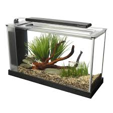 A conventional tank water heater heats up water using either gas or electric, and stores that water in its tank for use. Fluval 5 Gallon Spec V Aquarium Kit Black Petco