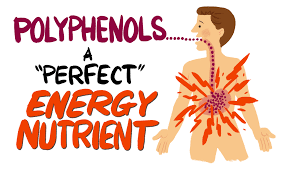 The hidden dangers in healthy foods that cause disease and weight gain, he highlights exactly what that food component is. Polyphenols Polyphenol Guide Polyphenols Definition Dr Gundry