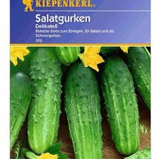 Einlegegurke Delikatess 1 Portion Gurke Salatgurke Mini Garten