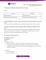 The mechanisms involved in these last maturation steps are still under investigation. Lakhmir Singh Biology Class 9 Solutions For Chapter 2 Fundamental Unit Of Life Cell Free Pdf