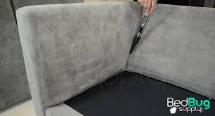 Where do bed bugs hide in couches How To Get Rid Of Bed Bugs On Couches And Furniture
