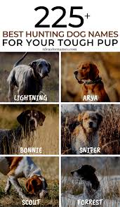 Black And Brown Puppy Names 225 Best Hunting Dog Names Perfect For Your Tough Pup Dog Names Hunting Dog Names Puppies Names Female