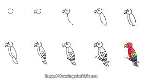 How To Draw A Parrot Step By Step Hướng Dẫn Cac Be Vẽ Con Vẹt Từng Bước Một Video Tutorials Video Minh Họa Https Youtu Drawings Art For Kids Free Art