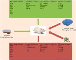 Image result for Anthonotha macrophylla