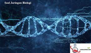99 Soal Jaringan Biologi Pilihan Ganda Pembahasan Jaringan Dalam Biologi Adalah Sekumpulan Sel Yang Memiliki Bentuk Dan Fungsi Ya Biologi Hewan Otot Lurik