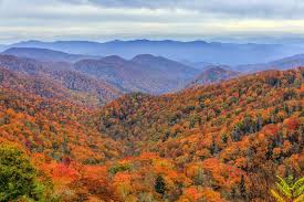 Maybe you would like to learn more about one of these? 2020 Smoky Mountains Fall Foliage And Forecast