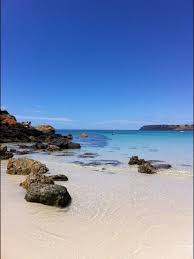 Boat Harbour Beach Tasmania Australia I Basically Learned To Swim Here Harbor Beach Learn To Swim Tasmania