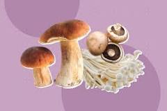 How do you know if a mushroom is bad?