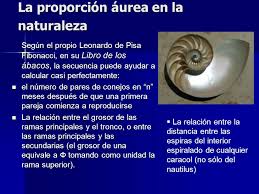 Imagen relacionada