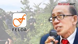 Persatuan anak peneroka felda kebangsaan (anak) president mazlan aliman said felda plantations, which manages oil palm plantations opened under the federal scheme, has unlawfully taken over 367,710 ha of land nationwide that were meant to go straight to settlers. Tanam Ketum Peneroka Felda Boleh Dilucut Hak