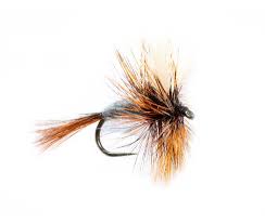 It's hard to beat the parachute adams. Adams Wulff Dry Fly Fishing Flies Fishing Flies Online Trout Flies